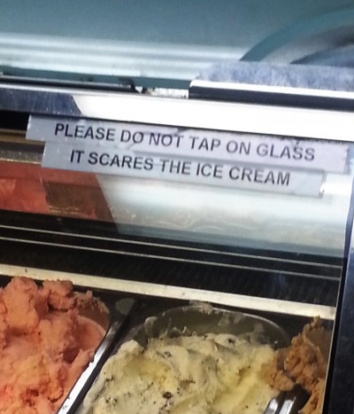 funny ice cream meme - Please Do Not Tap On Glass It Scares The Ice Cream
