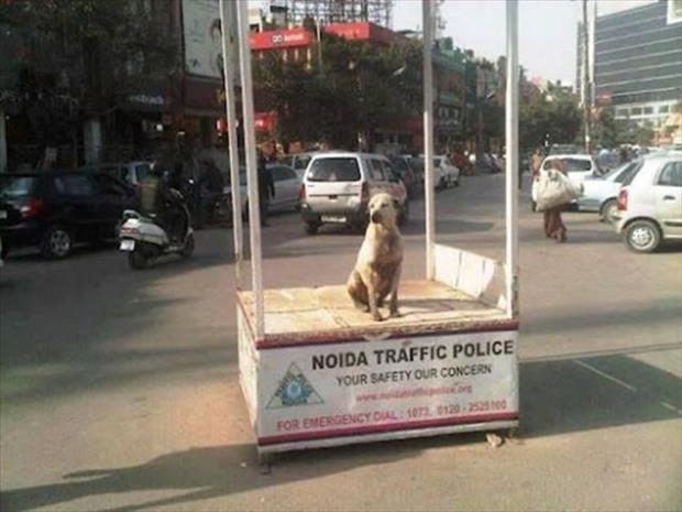 Meanwhile In India....