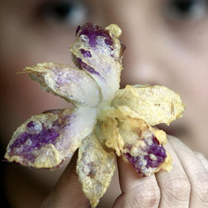 Fried Flowers - Thailand