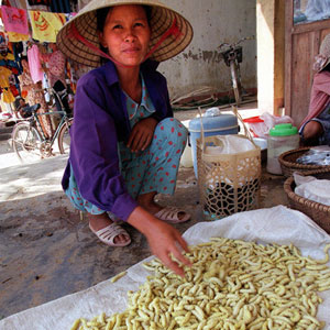 Fried Silkworms - Vietnam and China