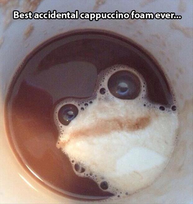 coffee frog - Best accidental cappuccino foam ever...