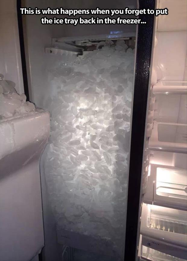 forget to put ice tray back in freezer - This is what happens when you forget to put the ice tray back in the freezer...