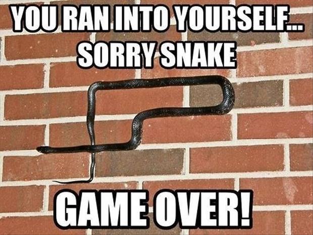 mijas - Youran.Into Yourself. Sorry Snake Game Over!