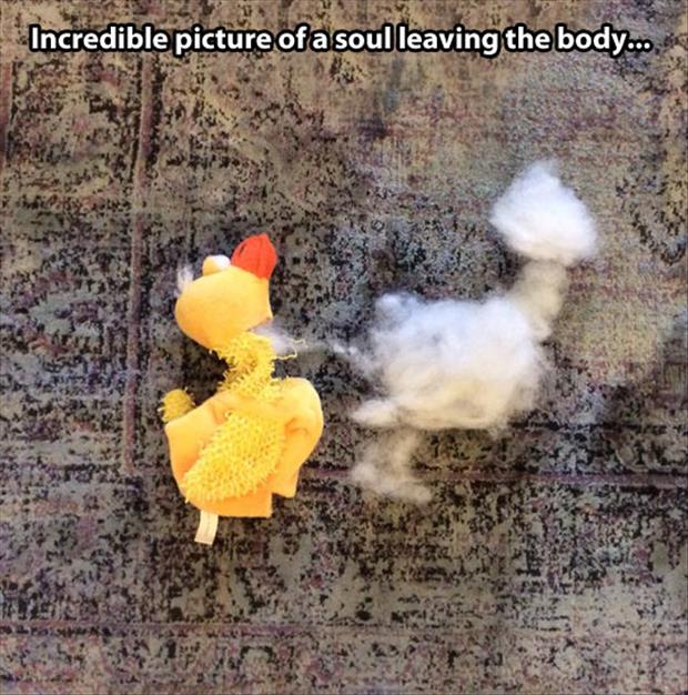 incredible picture of a soul leaving body - Incredible picture of a soul leaving the body...