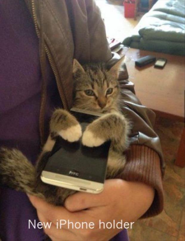 not my cat memes - New iPhone holder