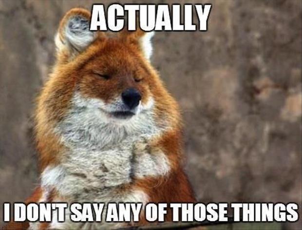funny fox memes - Actually I Dontsay Any Of Those Things