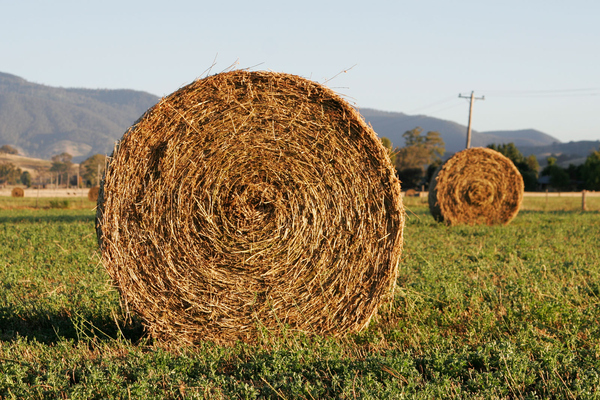 christian bale of hay