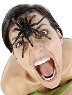 Arachnophobia: The fear of spiders.