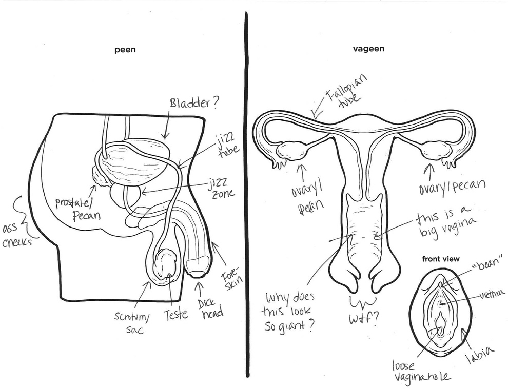 What Happens When You Ask Adults To Label Reproductive Parts?