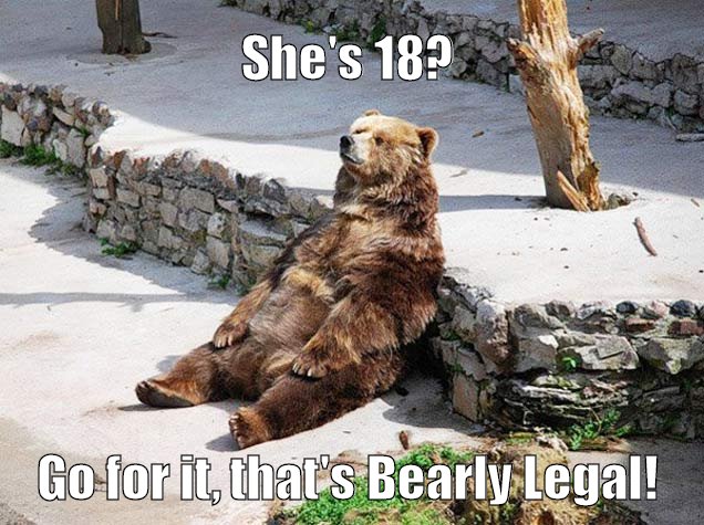 Go for it, 18 is Bearly legal!