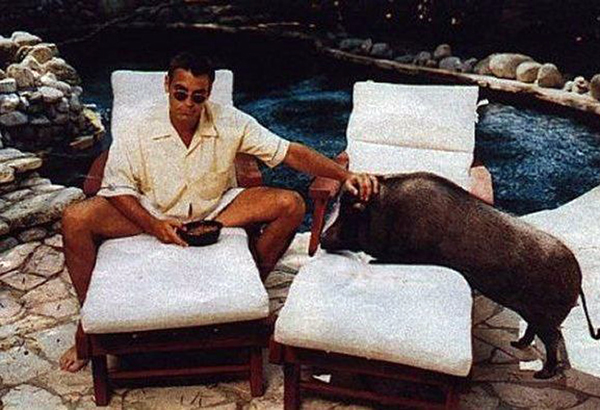 Actor George Clooney and Pot Belly Pig, Max