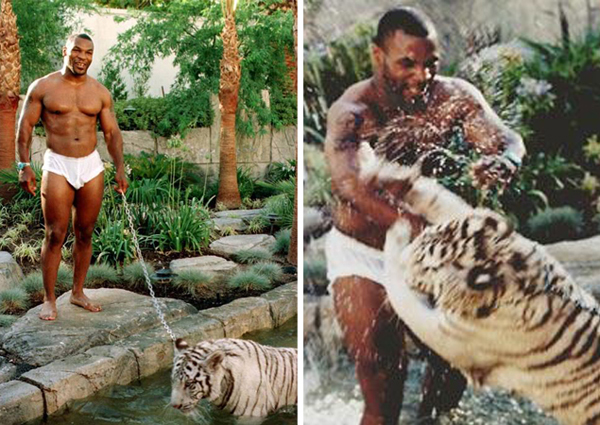 Mike Tyson and Pet Tiger