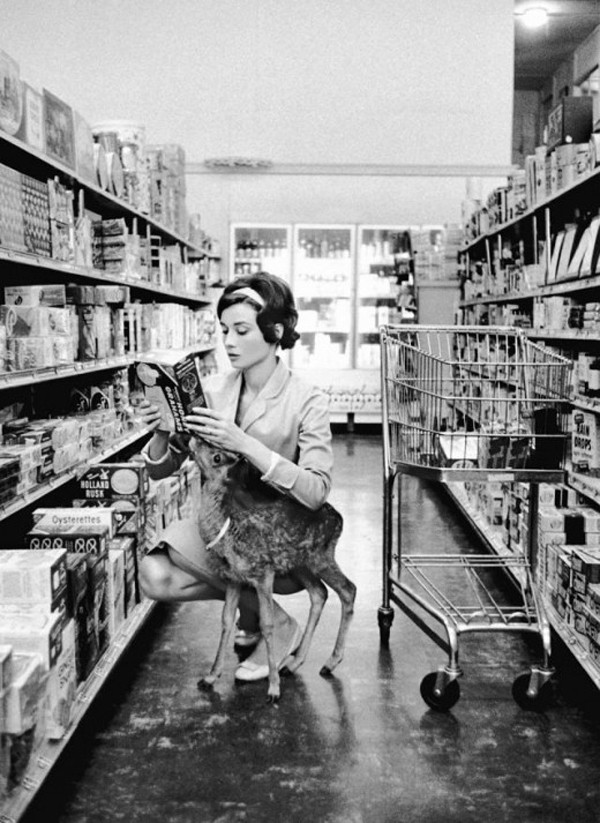 Audrey Hepburn and Pet Fawn, Pippin