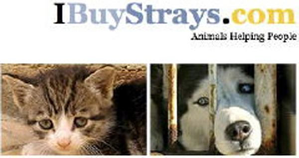 15. I Buy Strays: In the December of 2007, a websited called I Buy Strays was launched. They claimed to buy and sell animals to companies who used animals for experiments. The website posted Craigslist ads to garner attention. It was quickly debunked as a hoax.
