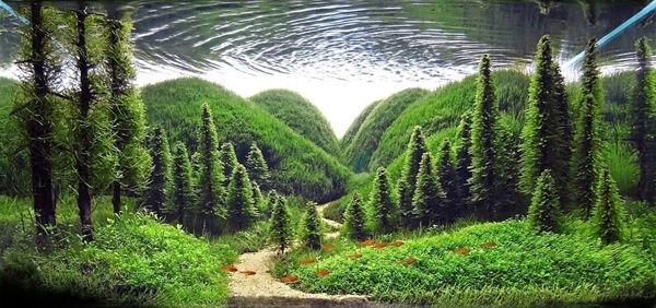 Aquariums With Mind Bending Underwater Forests