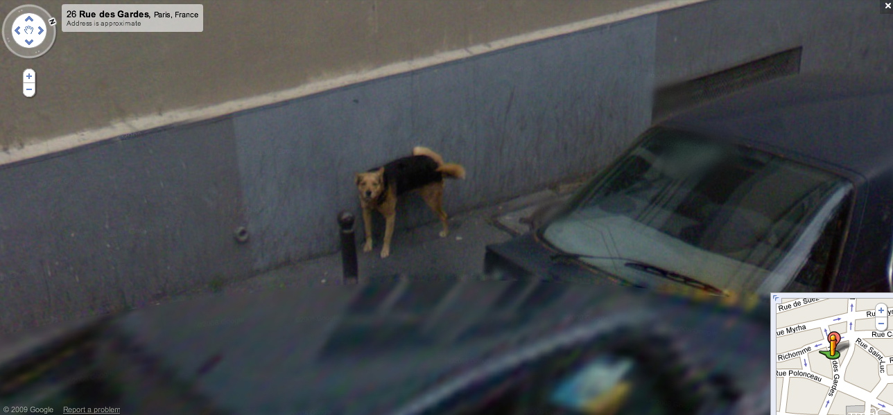 Crimes Caught On Google Street View