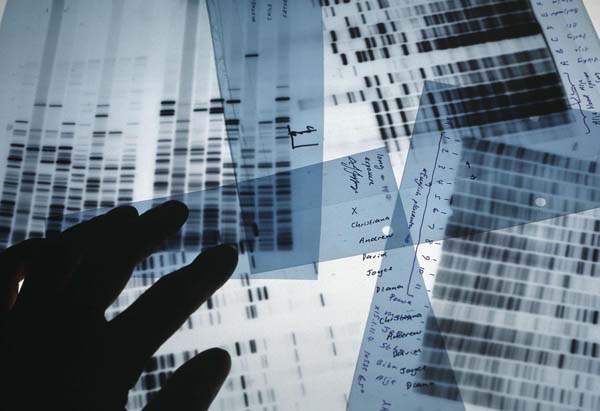Using DNA evidence in court