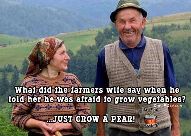 farmers wife jokes - What did the farmers wife say when he told her he was afraid to grow vegetables? BaDum Just Grow A Pear! Dumpaday.Com Tssshhh