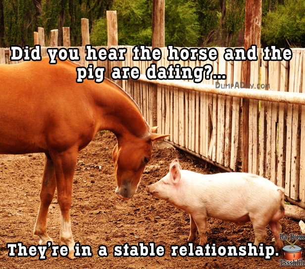 jokes so bad that they are funny - Did you hear the horse and the pig are dating? Dumpay.Com BaDum They're in a stable relationship. Tssshhh