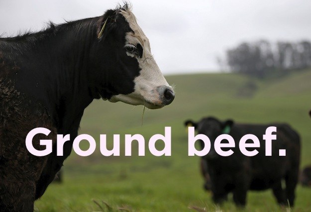 Stupid joke do you call a cow with no legs - Ground beef.