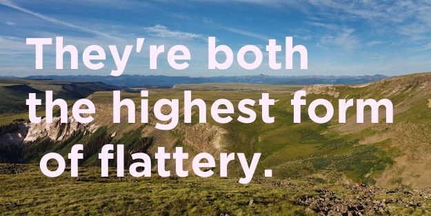 Stupid joke plateau - They're both the highest form of flattery.