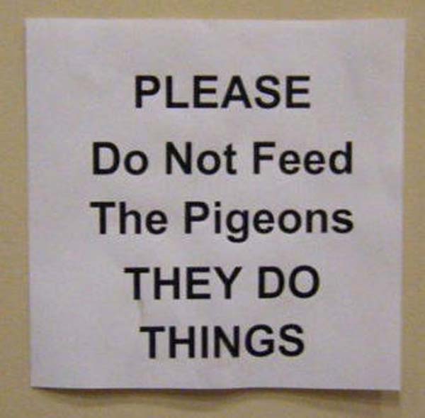 sign - Please Do Not Feed The Pigeons They Do Things