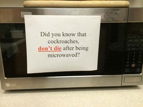 funny microwave signs - Did you know that cockroaches, don't die after being microwaved?