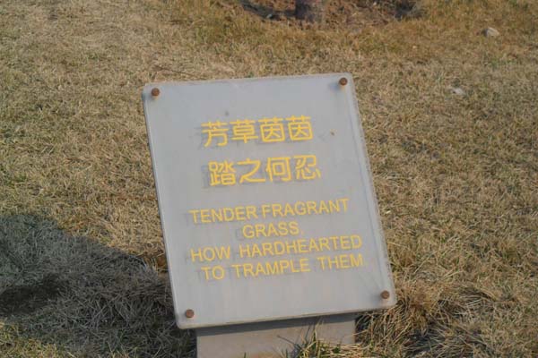 hilarious translation - , Tender Fragrant Grass How Hardhearted To Trample Them