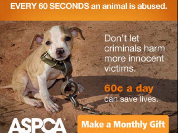 This was the ad that featured Timmy on the day he was rescued.