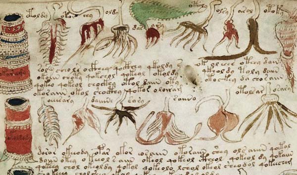 2. Voynich Manuscript: This is allegedly 600 years old and completely handwritten in an undecipherable language, possibly a medical textbook.