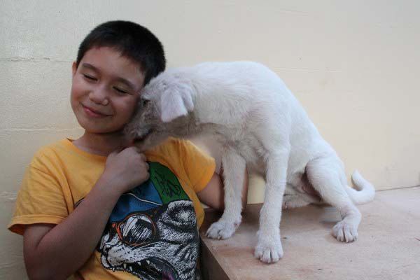 And the little white puppy is now an affectionate bundle of joy.