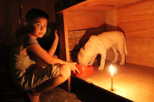 Ken is happy to dedicate time to the animals, even when the city is experiencing brownouts due to lack of available power.