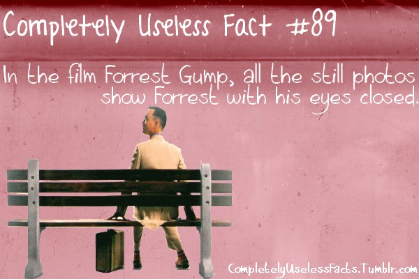 friendship - Completely Useless Fact . In the film Forrest Gump, all the still photos show Forrest with his eyes closed. CompletelyUselessFacts.Tumblr.com
