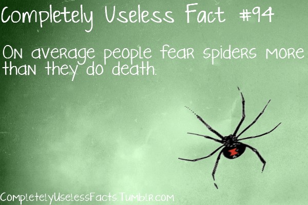 insect - Completely Useless Fact On average people fear SpideRS More than they do' death. COMPletely uselessFacts.Tumblr.Com