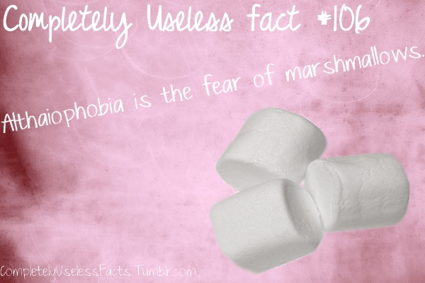 petal - Completely Useleso fact 106 Althaiophobia is the fear of marshmallows. Completelyuselesstacts. Tumbrcom