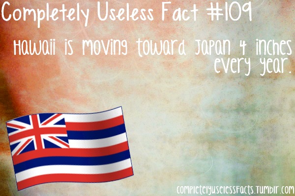 banner - Completely Useless Fact Hawaii is moving toward Japan 4 inches every year. completelyuselessFacts, TumbIr.com