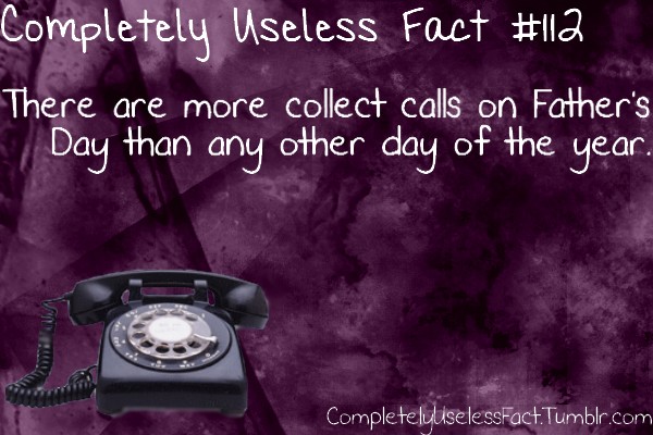 still life photography - Completely Useless Fact There are more collect calls on Father's Day than any other day of the year. CompletelylselessFact. Tumblr.com