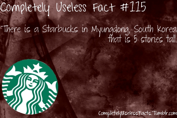 graphics - Completely Useless Fact There is a Starbucks in Myungdong, South Korea that is 5 stories tall. 0 Completelyuseless Facts. Tumblr.com