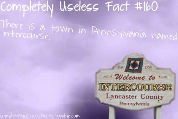 intercourse - Completely Useless Fact There is a town in Intercourse. Pennsylvania named 1754 Welcome to ou Intercourse Lancaster County Pennsylvania completelyuselesstects.tumblr.com