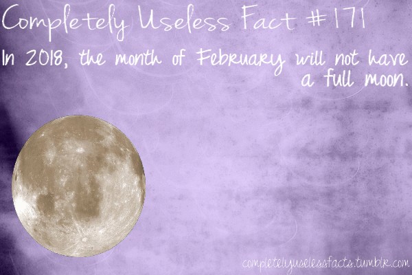 moon - Completely Useless Fact In 2018, the month of February will not have la full moon. completely uselessfacts.tumblr.com