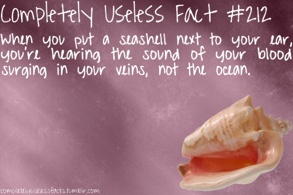 love - completely useless Fact When you put a seashell next to your ear, you're hearing the sound of your blood surging in your veins, not the ocean. computtiyusuissfacts.tumblr.com