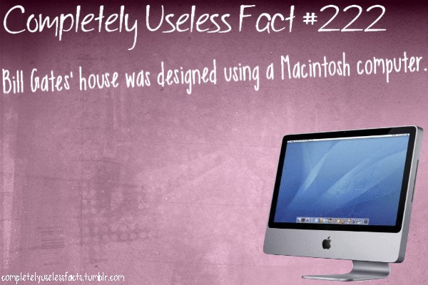 multimedia - Completely Useless Fact Bill Gates' house was designed using a Macintosh computer. completelyucelessfacts.tumblr.com