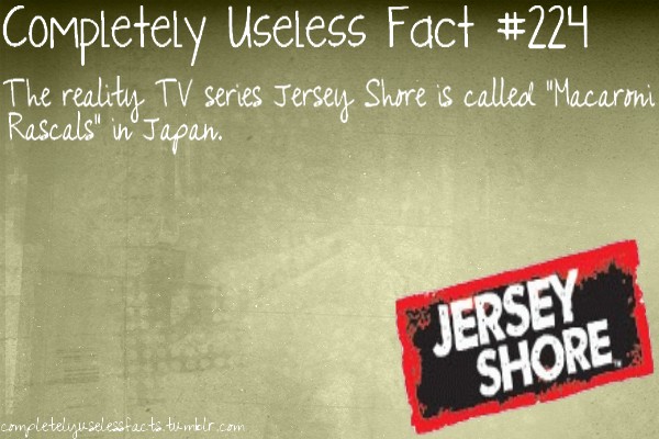 banner - Completely Useless Fact The reality Tv series Jersey Shore is called "Macaroni Rascals" inJapan. Jersete Shore completely uselesstacts.tumblr.com