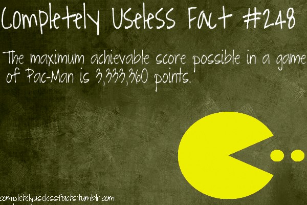 weird useless facts - Completely useless Fact The maximum achievable score possible in a game of PacMan is 3,333,360 points." completelyusekssfucts.tumblr.com