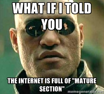 The Internet Is Full Of "Mature Section"