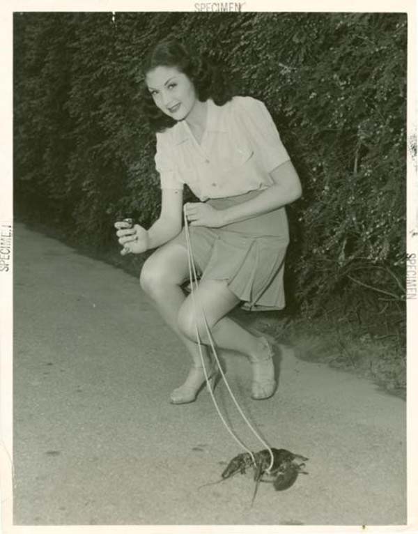 A young woman takes her pet lobster out for a walk - 1950's.
