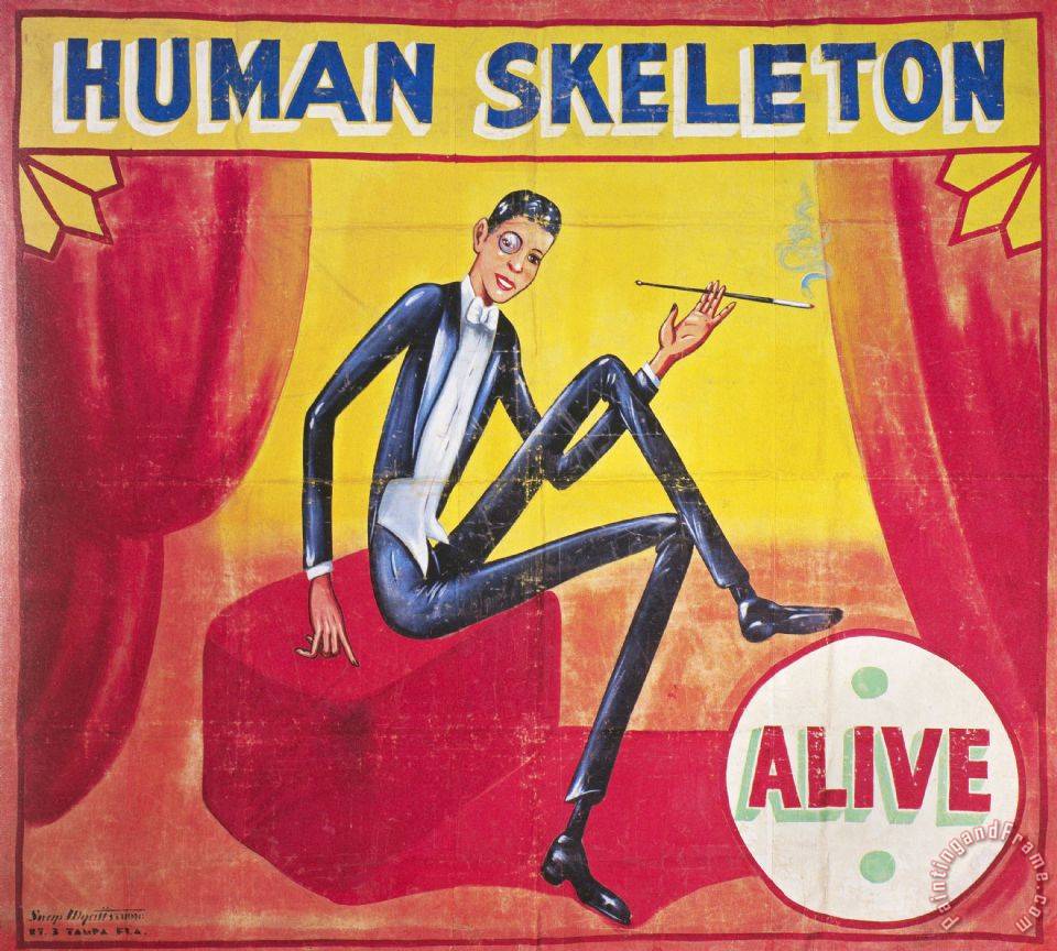 sideshow poster - Human Skeleton Alive yan alinn Pame 1103 iron 4.3 Tampa F.. Com