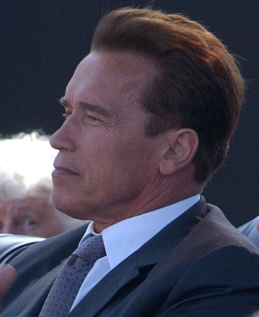Arnold Schwarzenegger - Before he was the "Governator" and action movie superstar, Arnold Schwarzenegger was a poor immigrant from Austria. He begged and borrowed to get enough money to start his first business Pumping Bricks, which he used to finance his body building career. and we all know how that turned out for him.