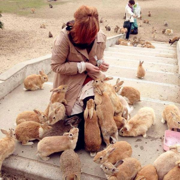 In Japan there is an island called 'Rabbit island' due to the number of rabbits that pass along the streets.