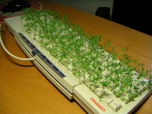 Don't forget to trim your keyboard!